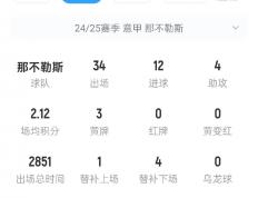 世俱杯决赛-里昂球员因伤缺阵，影响球队战绩的简单介绍