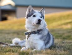 世俱杯时间-保罗压制级发挥，深圳队冲垮勇士，一场跨时代的篮球对决