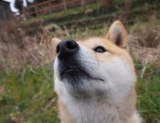 世俱杯改制-足球之夜，西班牙逆转智利惊险取胜，李刚仁数据统治赛场显锋芒