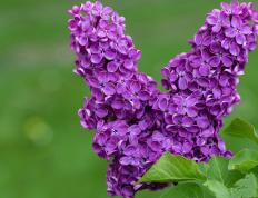 世俱杯2025-欧冠决赛之夜，福登以三冠王加冕礼打破所有质疑