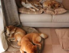 世俱杯2025-贝恩三分绝境救主，凯尔特人惊险终结吉林队连胜势头