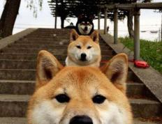 世俱杯分组-欧文利剑出鞘，快船刺破活塞连败阴霾，孤星归位照彻赢球之路