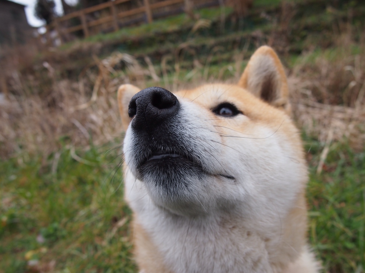世俱杯改制-足球之夜，西班牙逆转智利惊险取胜，李刚仁数据统治赛场显锋芒