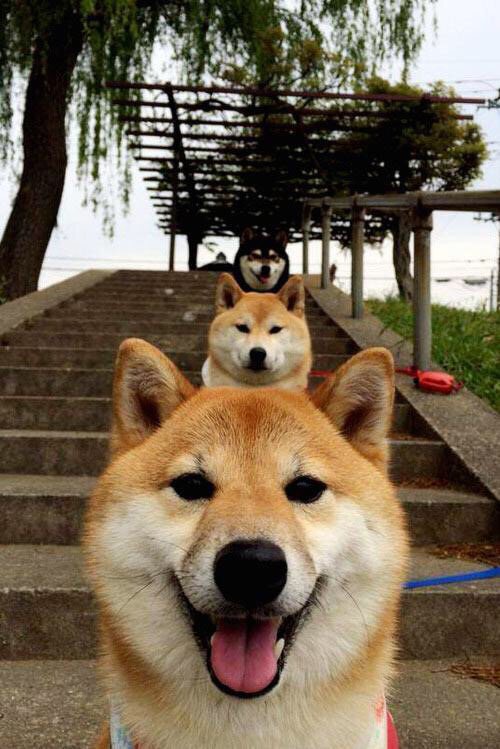 世俱杯时间-铁马冰河入梦来，杰伦·格林梦碎华盛顿之夜