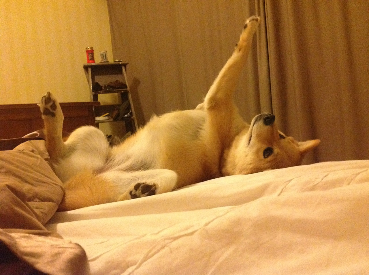 世俱杯时间-丹麦对阵秘鲁的战术博弈与三笘薰的无解突破