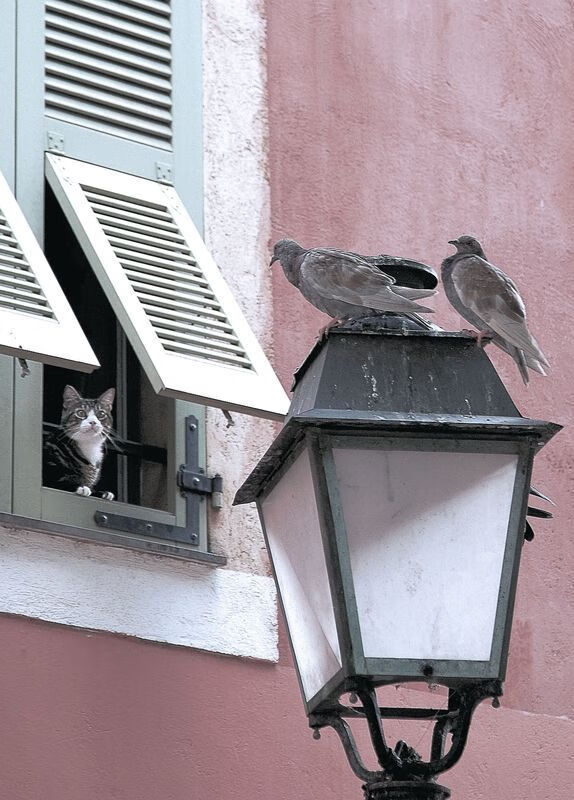 世俱杯奖金-王权更迭，窒息式防守与绝对内线，国王强压勇士王朝余焰