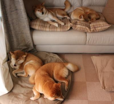 世俱杯分组-C罗临危受命扛起全队，墨西哥惊天逆转莱比锡红牛